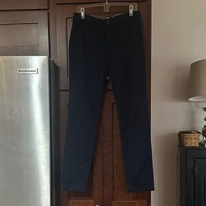 Express Men's Dark Navy Chinos